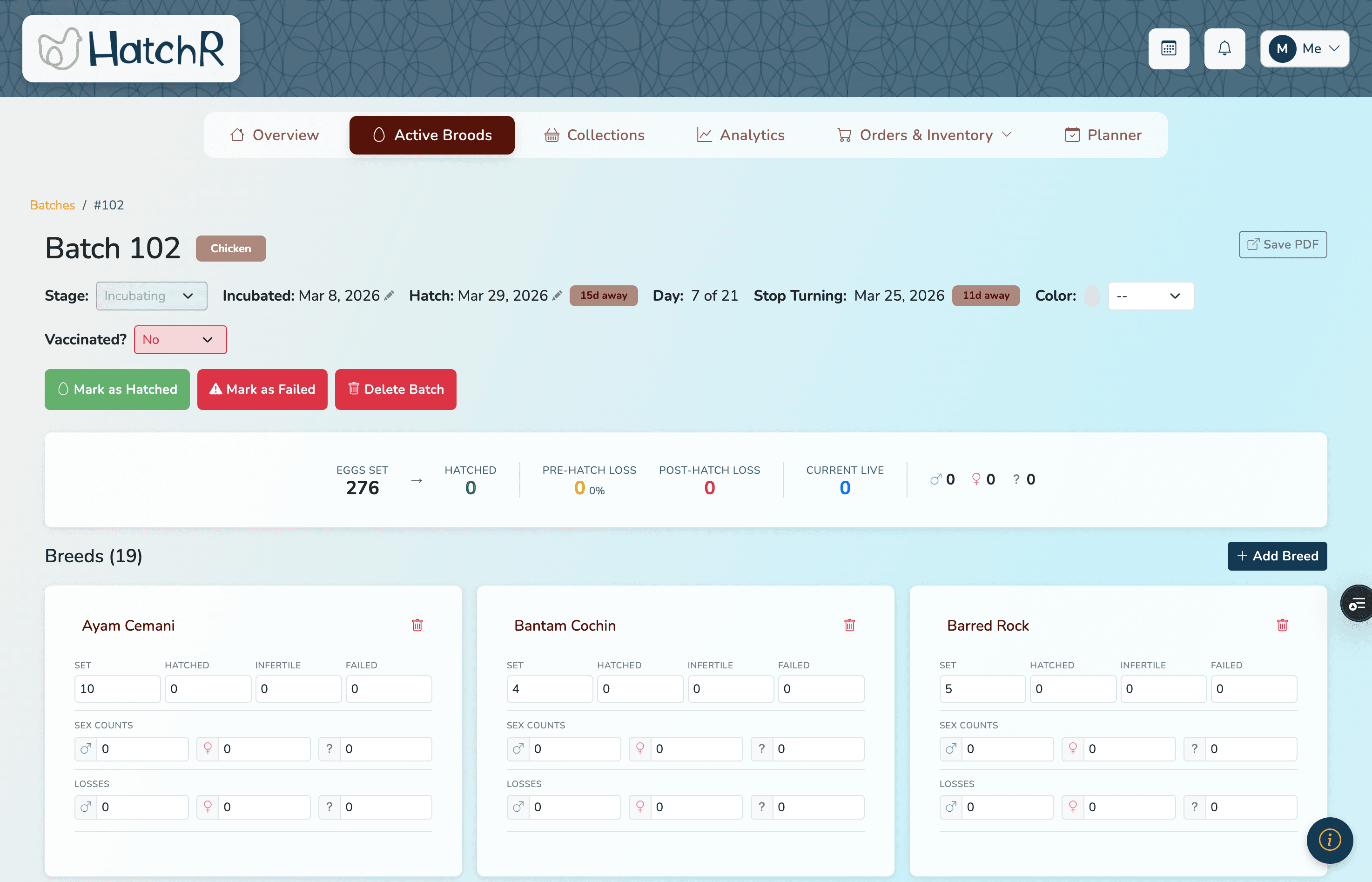 HatchR batch management page showing batches at different lifecycle stages