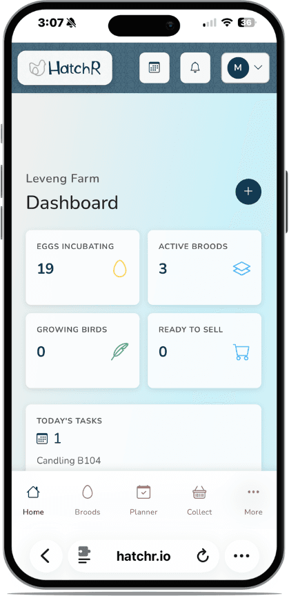 HatchR on iPhone